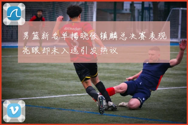 男篮新名单揭晓张镇麟总决赛表现亮眼却未入选引发热议