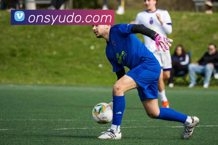 mk官网登录入口APP 封面图